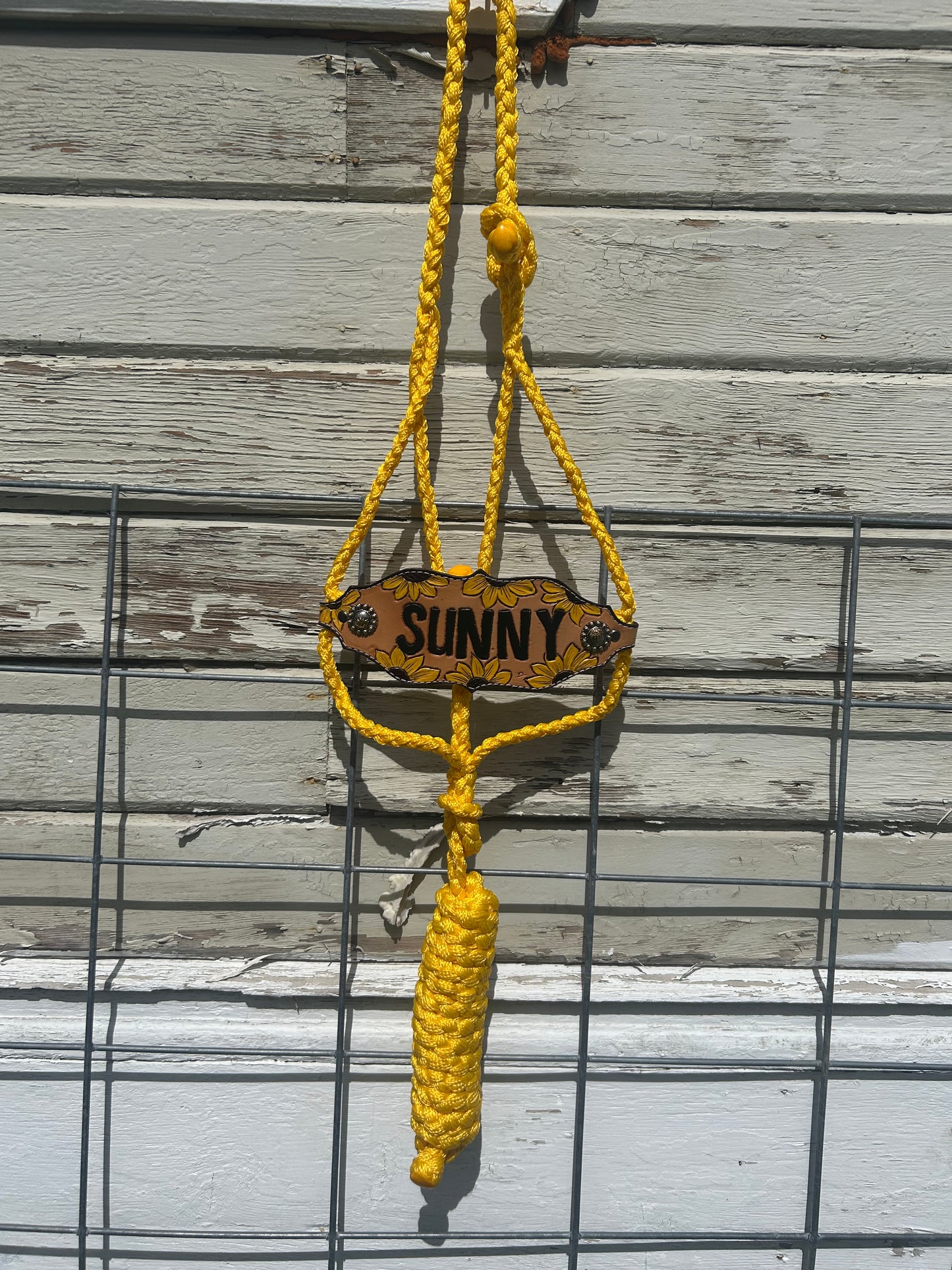 Custom Halter